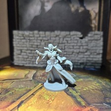 Human Elf Wizard Warlock Sorcerer Miniature Dungeons Dragons DND Pathfinder