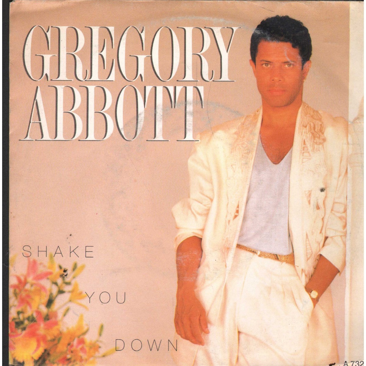 Gregory Abbott Vinyl 7"" 45 Shake You Down CBS - A7326 New