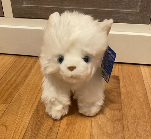 Toys R Us Exclusive White Kitten Cat Blue Eyes Stuffed Animal Plush 9" NWT!