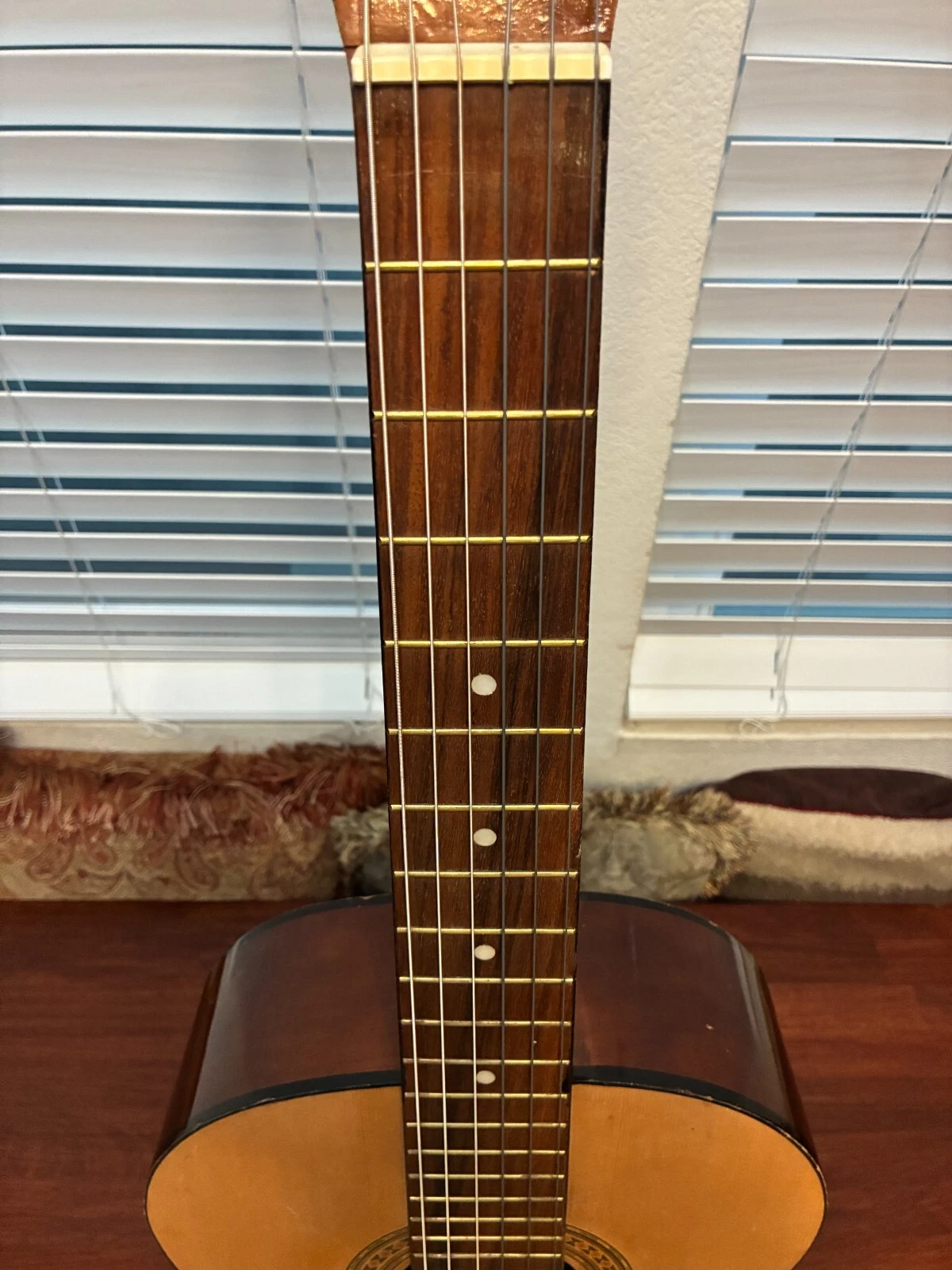 Picture 12 of 24