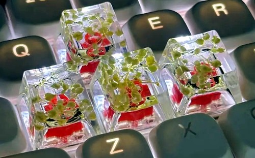 KeyCaps Tastenkappen OEM mechanische Tastatur Gaming Modding Custom Pflanzen - Bild 9 von 20