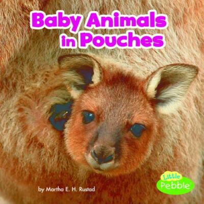 Baby Animals in Pouches by Rustad, Martha E. H.