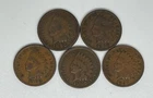 1896 1900 1902 1906 1907 Indian Head Cent Lot of 5