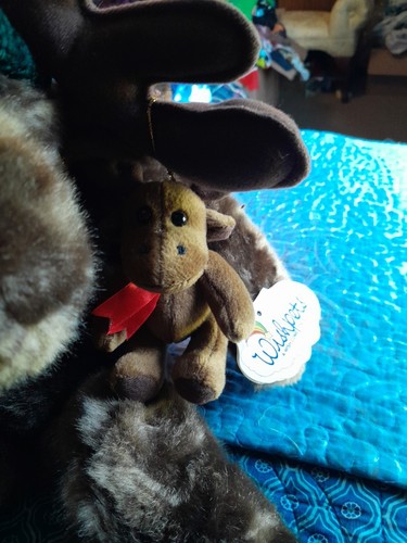 Wishpet Christmas Moose Plush W/ Moose Ornament New Old Stock 2000 - Picture 2 of 10