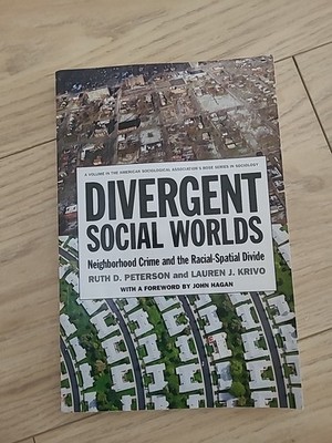 Divergent Social Worlds: Neighborhood Crime and Racial Spatial Divide