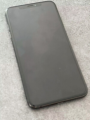 Apple iPhone XS  max  256 GB