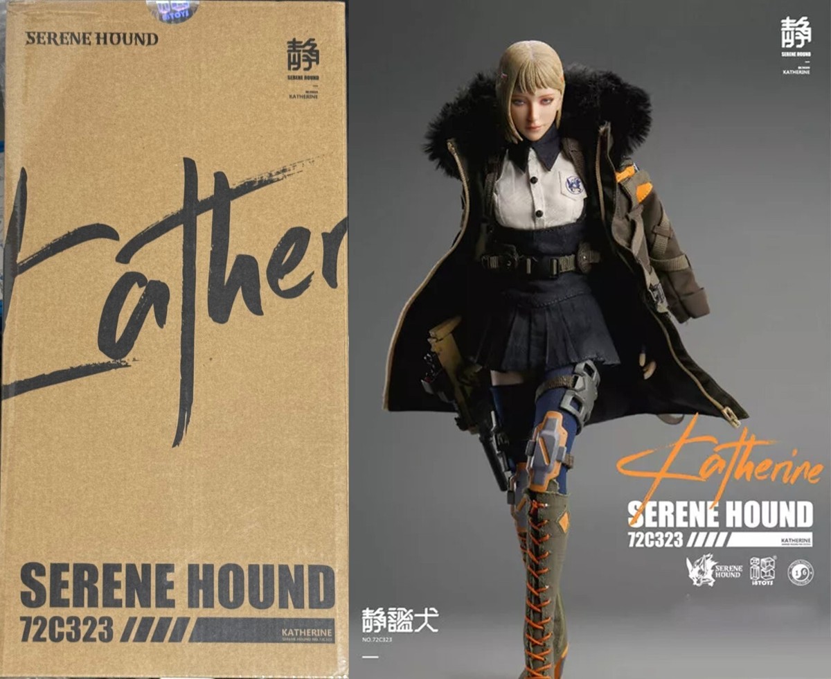 【メーカー直送】 1:6 Toys i8 NEW Scale i8toys Collectible Figure Troop Hound Serene Katherine その他
