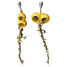 1x Jumping Spider Hideout, Habitat Decor Spider Enclosure for Climbing  Hiding