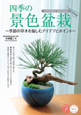 Mates Publishing Scenery of the Four Seasons Bonsai-Ideen & Tipps
