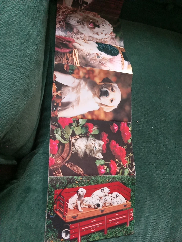 Greeting Postcard Animal Shelter North Shore League Kittens And Puppies 1980's  - Image 4 of 4