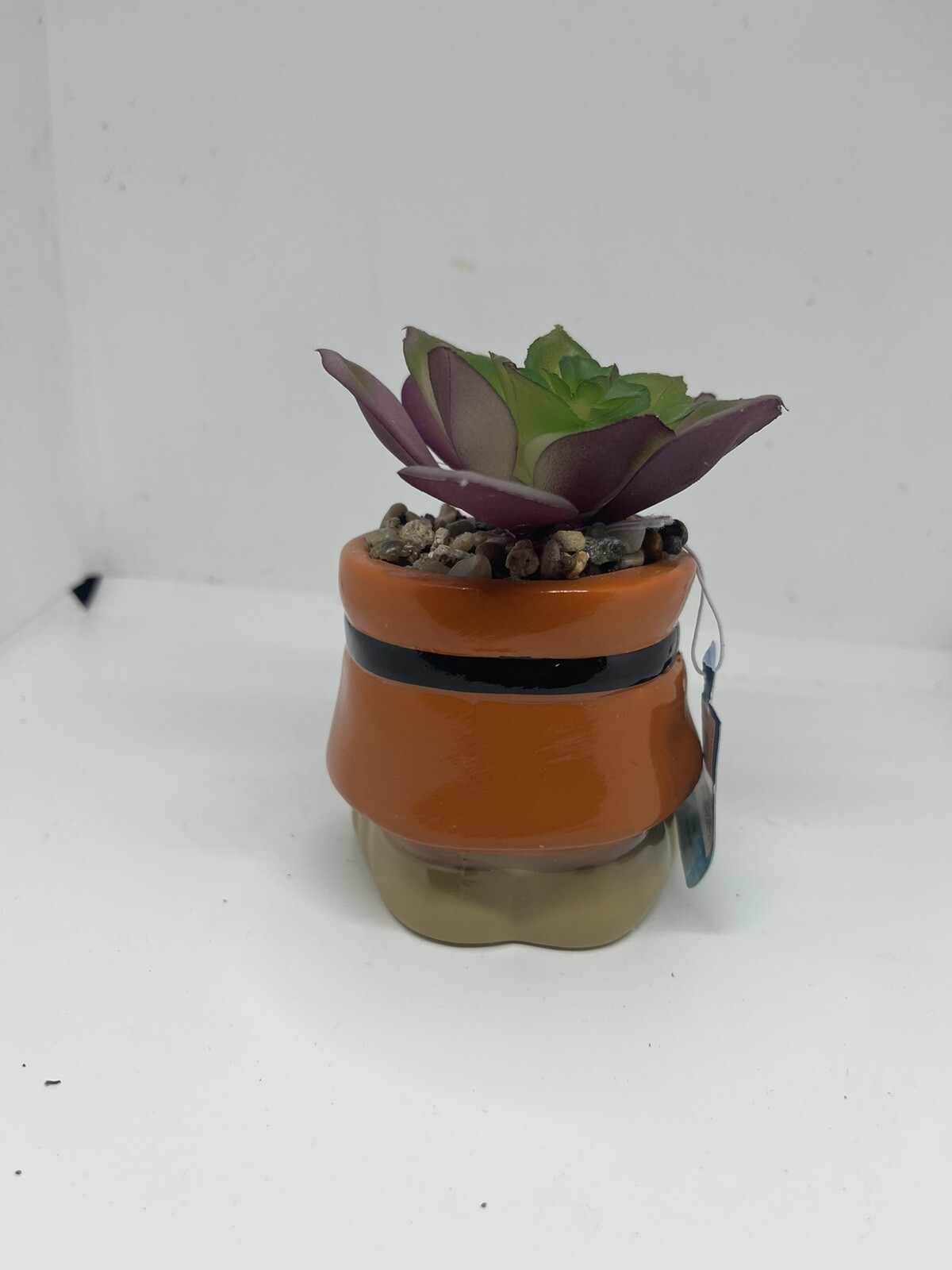 Picture 3 of 6