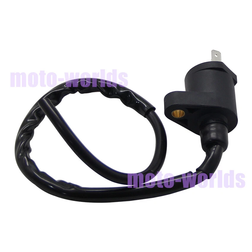 Bobina de encendido para Polaris Phoenix 200 2005-2020/Predator 50 2007 0452309 0453894 Foto 4 de 4