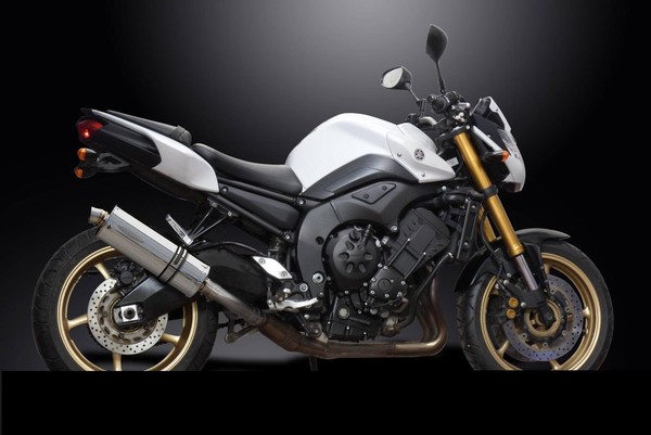 Yamaha FZ8 2010-2017 Ovaler Edelstahl EndschalldäMpfer 350 Mm Delk-image
