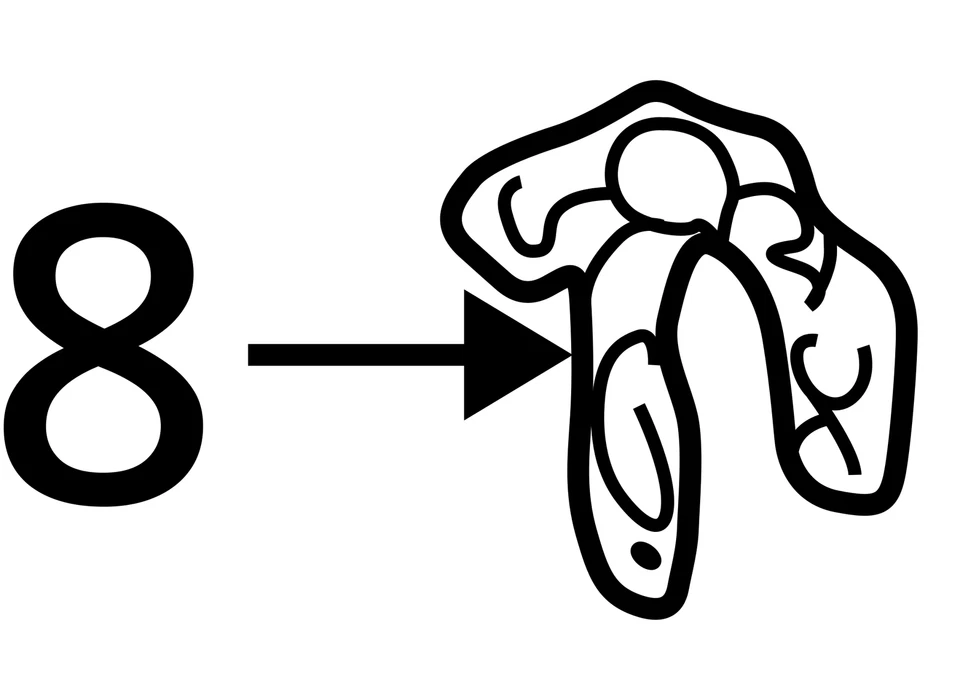 Oldsmobile Pontiac Alero Grand Am 2000-2005 transmisión de soporte MT LH 22698595 NUEVO OEM Foto 3 de 3