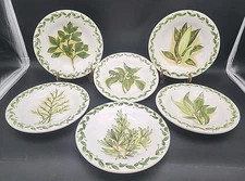 Botanical Herbs 8.5” Hand Painted Collection Salad Plates by Tabletops Unlimited
