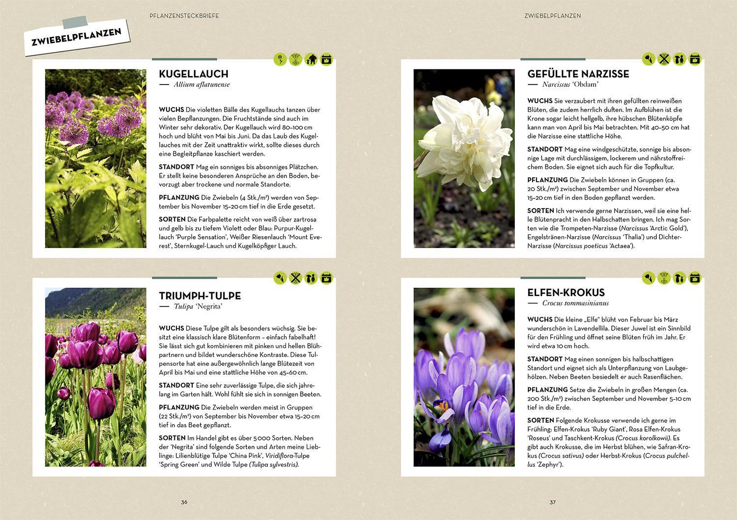 Thumbnail - Iris Winkenbach Blumenbeete