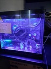 Custom PC 32 GB Ram, Gaming computer, Nightmare before Christmas 9060XT 16 GB. — photo 5