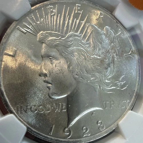 1923 Peace Silver Dollar • NGC MS64 $130 Value L82