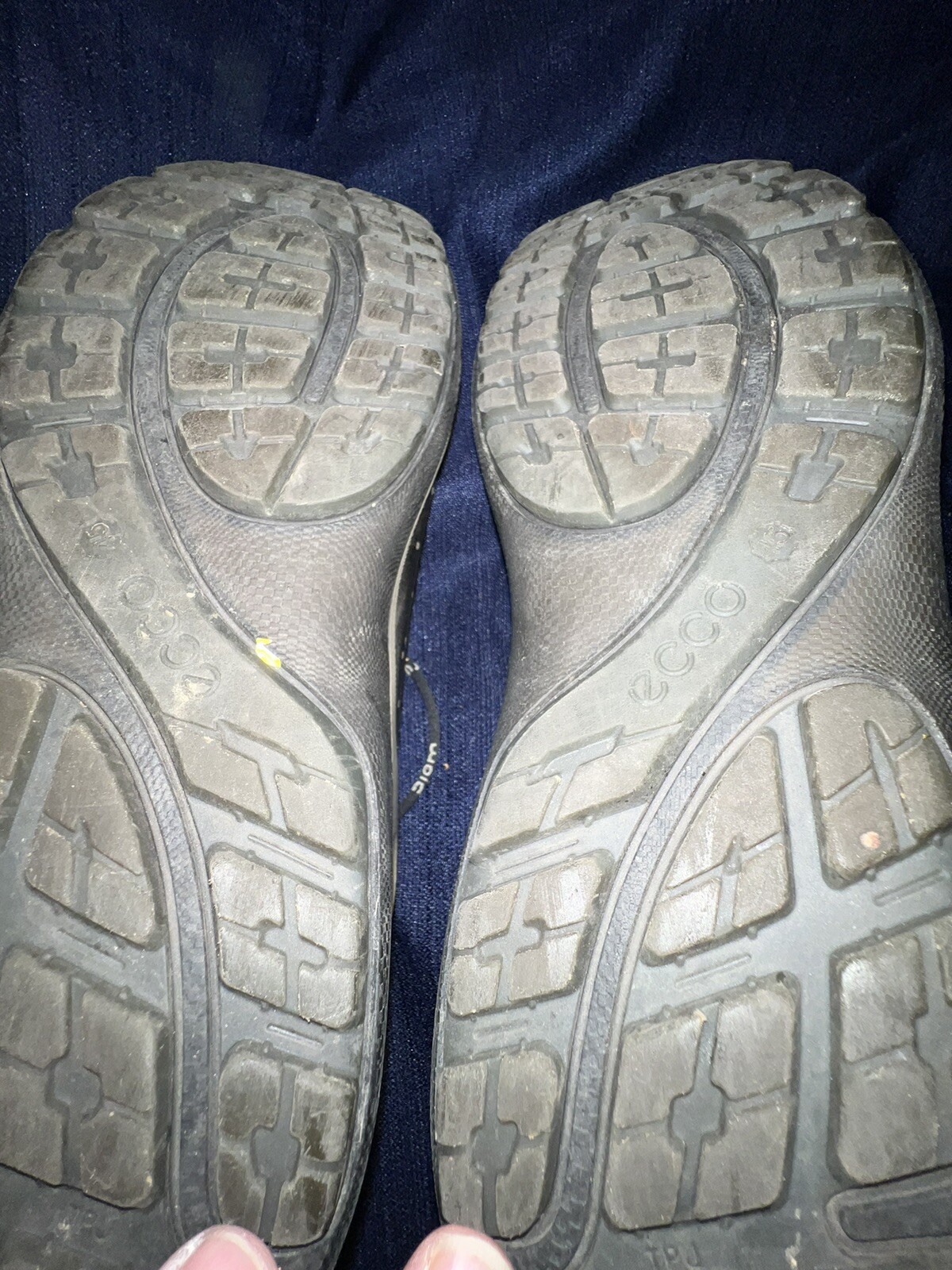 Picture 4 of 4