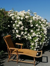 Ancienne Chaise longe rotin osier Rattan lounge chair 1900? Art deco? 