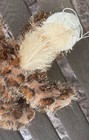 Bild 4 von 4