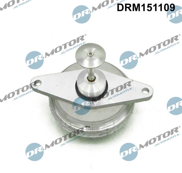 DRM151109 Dr.Motor Automotive Agr-Ventil FüR Opel,Vauxhall-image