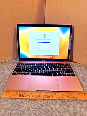 MacBook 12インチ pink, m3 8GB/256GB MacBook Retina 12-inch (2017) - Core m3 - 8GB - SSD 256GB | Back