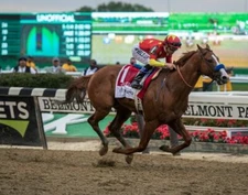 JUSTIFY 2018 BELMONT STAKES 8X10 GLOSSY PHOTO PICTURE IMAGE #3   TRIPLE CROWN