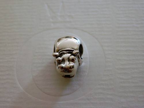 GENUINE HIPPPO DETAIL CHARM : 790334 | eBay