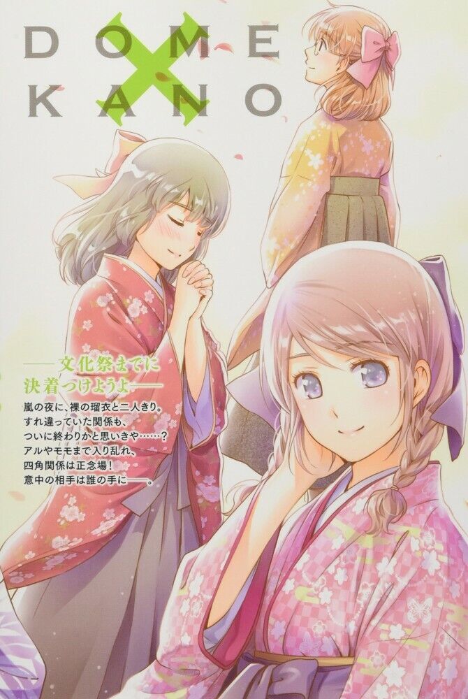 Domestic Girlfriend na Kanojo Vol.12 Limited Edition Manga Booklet