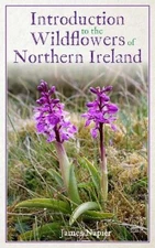 Introduction to the Wildflowers of Northern Ireland by Napier, James [Paperback]