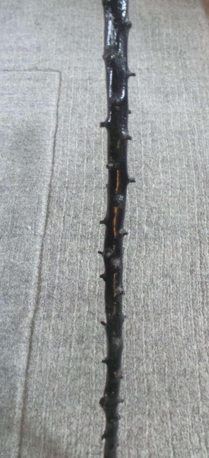 Foto 13 di 13