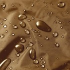 Bild 8 von 12