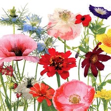 (2) Two Paper Lunch Napkins for Decoupage/Mixed Media - Wildflower Garden colors