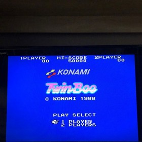 Famicom Disk System Side A: Zanac Side B: TwinBee Disk Card Tested