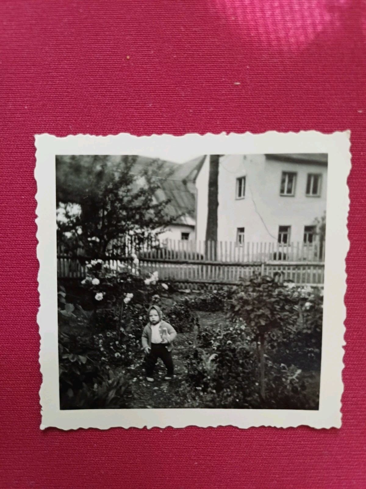 Bild 1 von 1