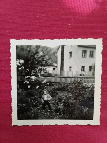 Steinbach Süßer kleiner Junge Kleinkind Kopftuch und Spielzeug Garten Altes Foto