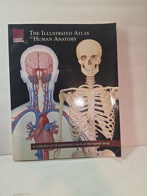 The Illustrated Atlas of Human Anatomy: A Collection of 25 Anatomical Charts...