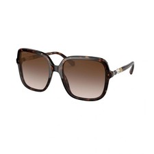 Bvlgari BV 8228B 504/13 Havana Plastic Sunglasses Dark Brown Solid Color Lens