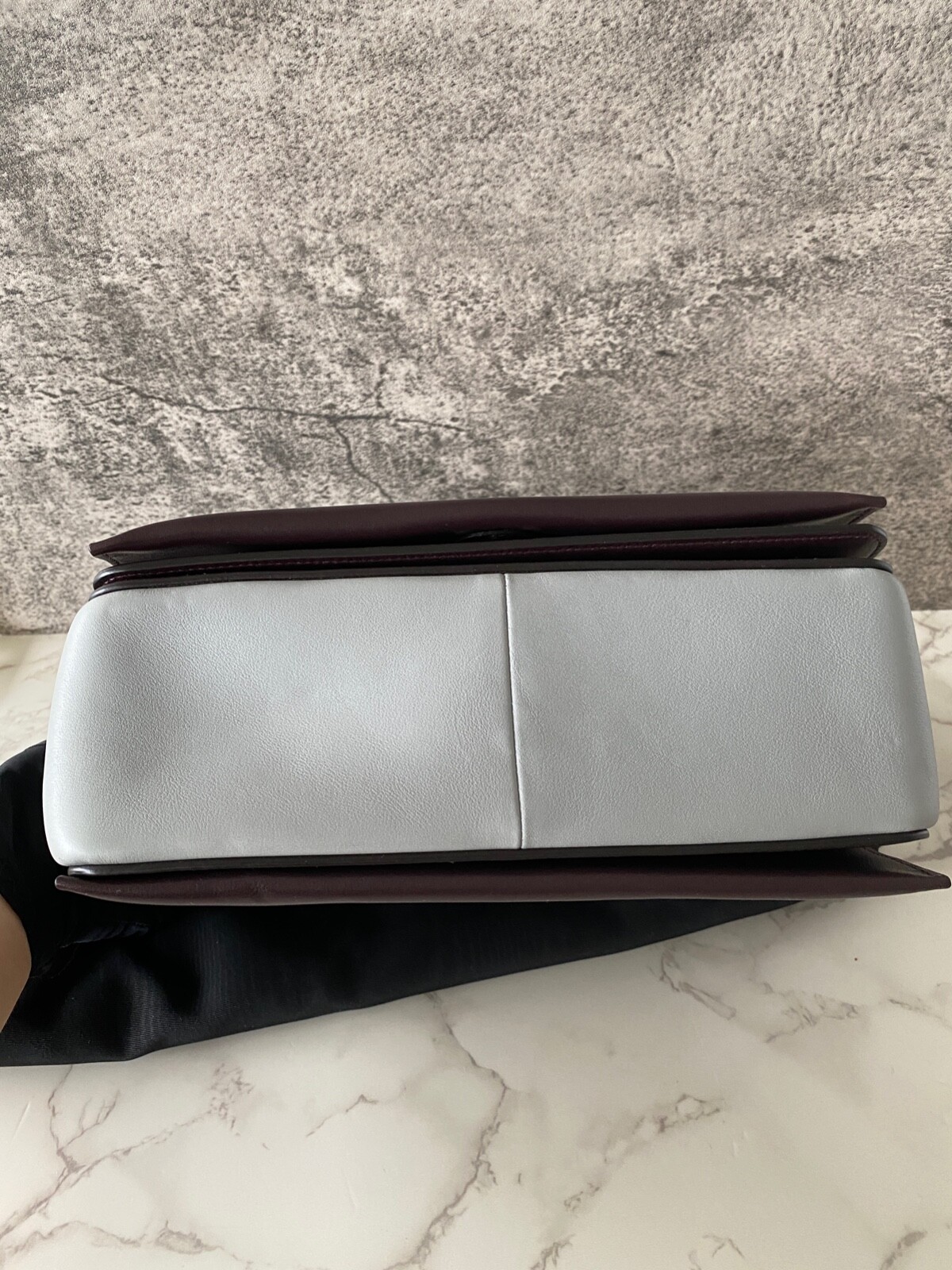 NEW AUTHENTIC CELINE Frame Handbag Shoulder Bag Strap Bag image 4
