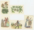 Collectible pictures_Köllnflocken_The fairy tale world and in the realm of flowers
