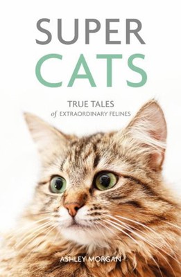 Super Cats : True Tales of Extraordinary Felines Paperback Ashley