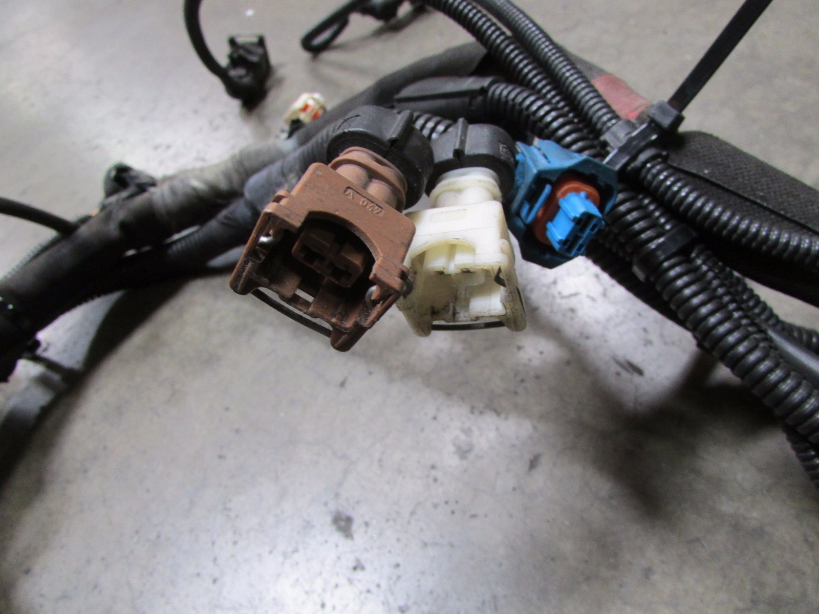 Ferrari 360 Spider, RH, Right Engine Wiring Cable Harness, Used, P/N 179167