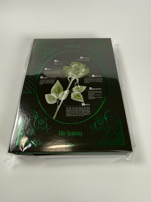 Ado Adotomy OSAKA/GREEN Sammelkoffer Vorbestellung Bonus Ausstellungsware