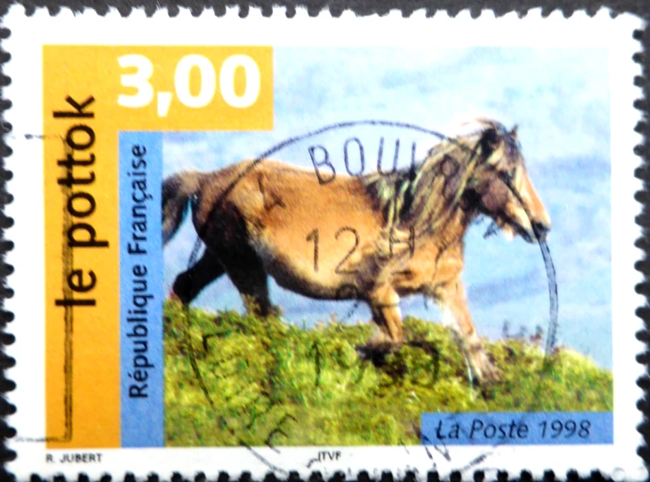 Frankreich 1998  Mi 3328, le Pollok, gestempelt - Bild 1 von 1