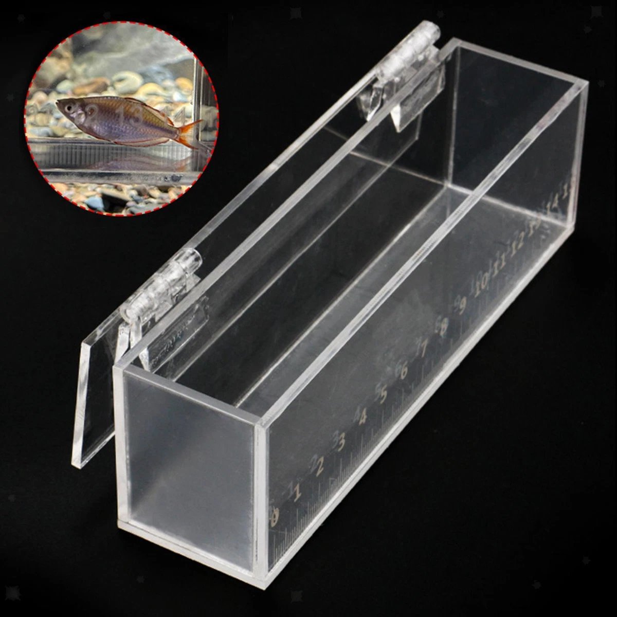 Fish Viewing Box Acrylic Portable with Lid Fishing Photo Tank with Scale