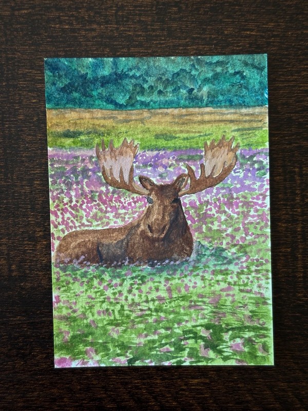 ACEO Original Animal Series Card 7 of 9 Watercolor Painting by Brooke Greer