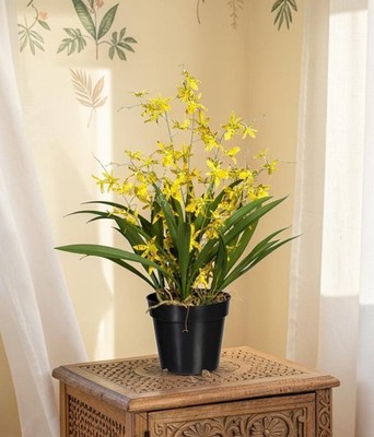 TRAUMHAFTE Kunstpflanze Orchidee Oncidie Dancing Queen 60cm täuschend echt