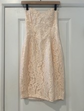 Vintage Scott McClintock Lace Strapless Pale Pink Prom Homecoming Dress Size 6