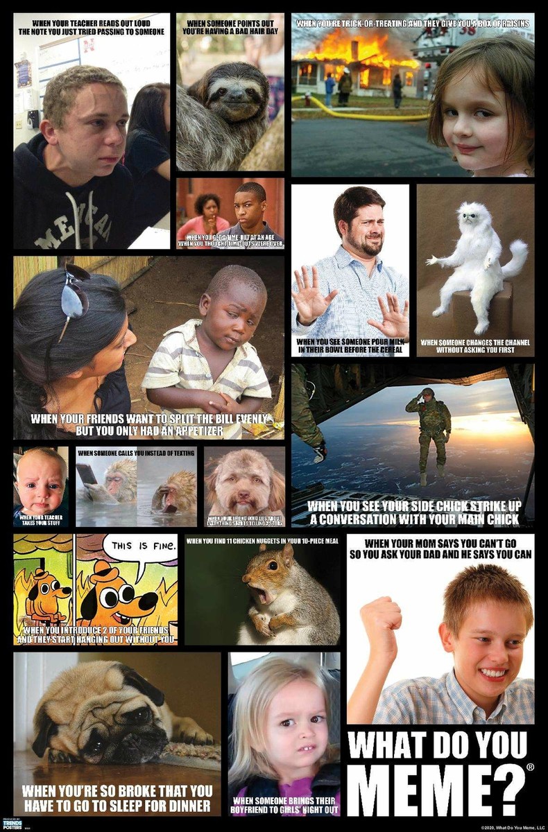 What Do You Meme Grid Poster
